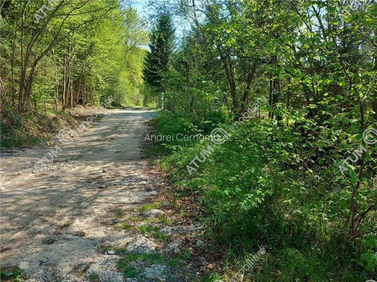 Teren intravilan 1300 mp de vanzare pe Valea Avrigului in zona Mlaci