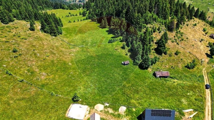 Teren de 7830mp de vanzare in Fundata! Comision 0% - 7