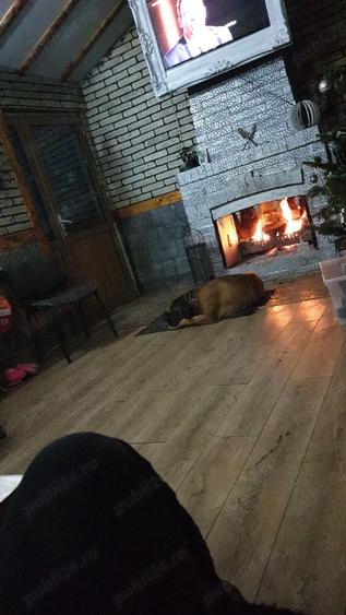 vind casa Walter Maracineanu - 9