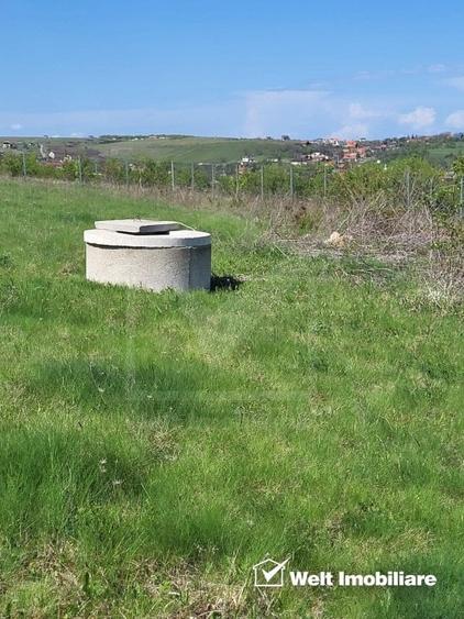 Teren extravilan 2000 mp, imprejmuit, panorama superba – Salicea (Cluj) - 10