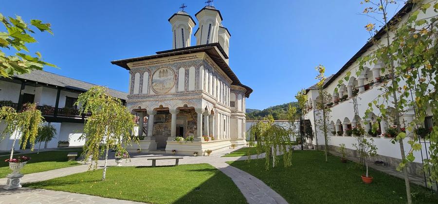 Teren de vanzare In Berislavesti - Calimanesti 4000mp - 4