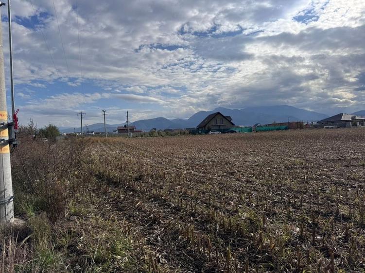 Teren dezvoltare rezidentiala Tarlungeni - zona Izvor - 7