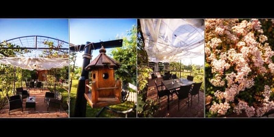 Ansamblu de proprietati in Costinesti - 24