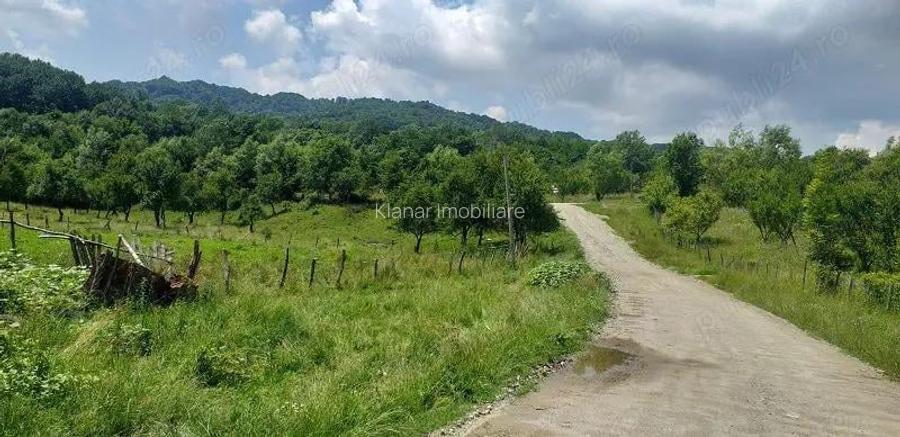 Oferta luna aceasta! Teren 10000 mp in Corbi Arges