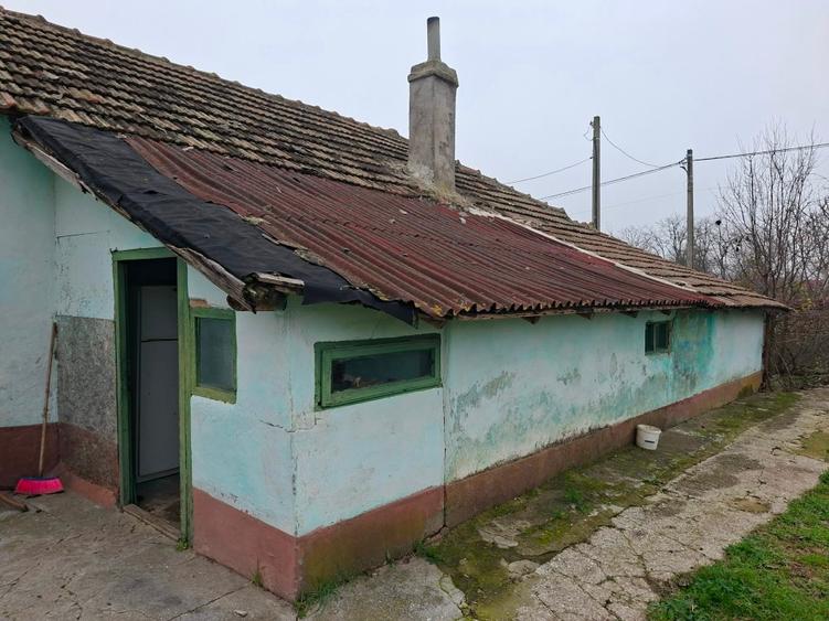 CASA DE VANZARE IN PECINEAGA JUDETUL CONSTANTA  - 9