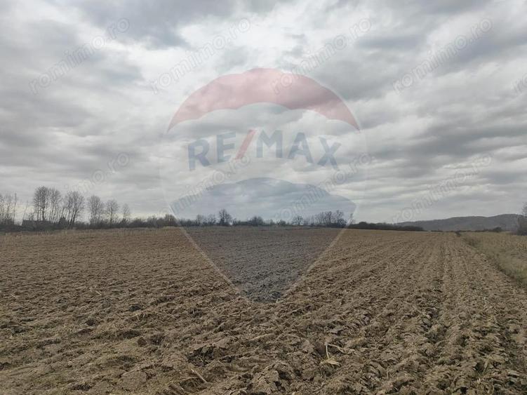 Teren lacul Surduc - Fardea - 1