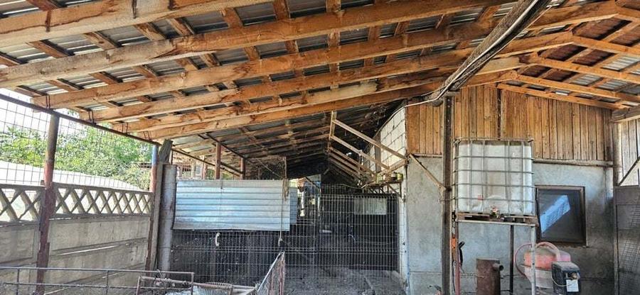 Casa ?i curte ( 30 ari) de vanzare in comuna Farcasele, sat Ghimpa?i, jud. Olt - 3