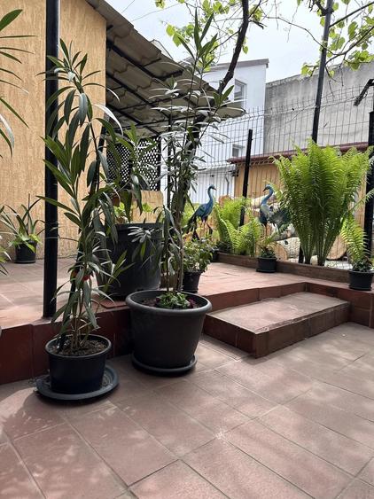 Apartament la casa, curte comuna, renovat modern - zona Complex, Timi?oara - 9