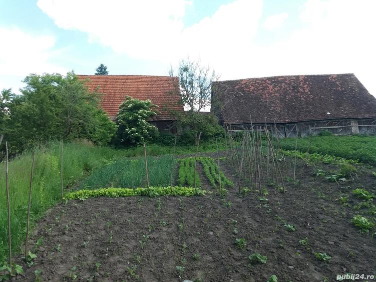 vand casa saseasca - 7