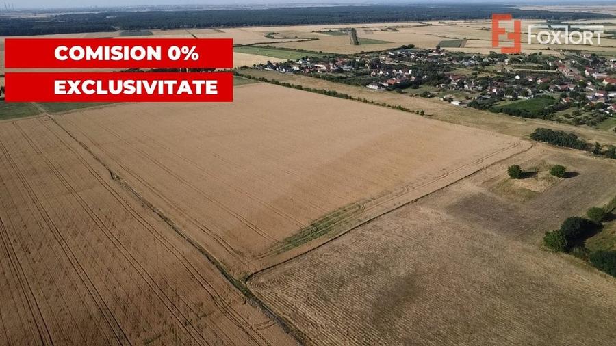 COMISION 0% Teren de vanzare intravilan de 24.700 mp - Padureni - 9