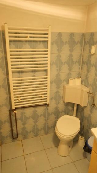 Tartasesti – casa si teren 2.000 mp de vanzare - 9