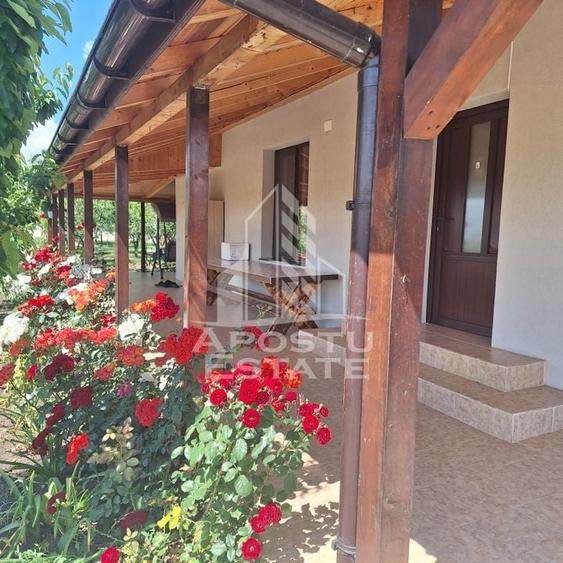 Casa individuala in Ianova,Comuna Remetea Mare - 2