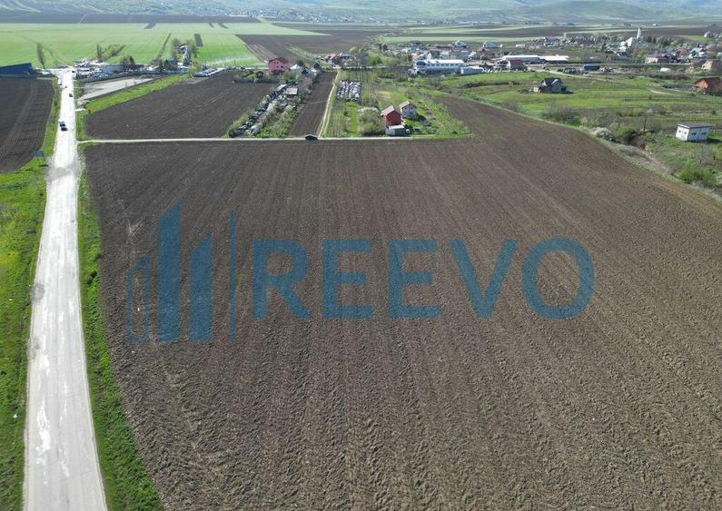 Teren de vanzare, Com. Nicolae Balcescu, Jud. Bacau - 5