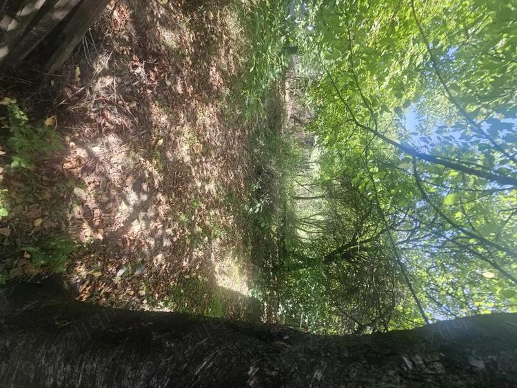 Teren de 1113 mp si casa batraneasca in comuna Mihaesti jude?ul Valcea - 7