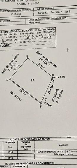 Teren Măgurele 1316mp - 4