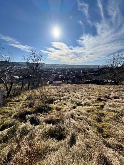 Casa de vanzare-Sg.de Padure - 1