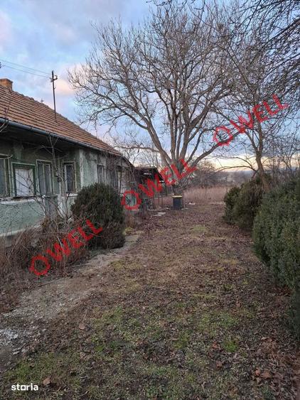 Teren intravilan de vanzare in Ruseni (Targu Secuiesc)! - 5