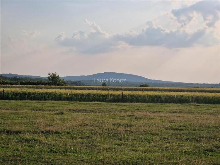 Teren Construcții intravilan de 500 mp, în Felcheriu Teren Construcții intravilan de 500 mp, în Felcheriu