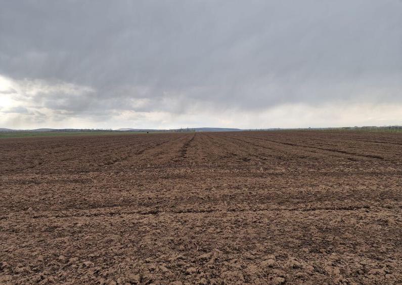 Teren 10,000mp Bacau / Strada Alexandru Safran - 17