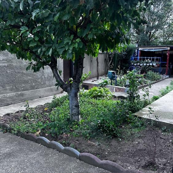 Aleea Lacul Morii-Militari - 18