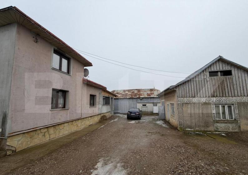 Acolo unde lini?tea devine acasa proprietatea si un te - 3