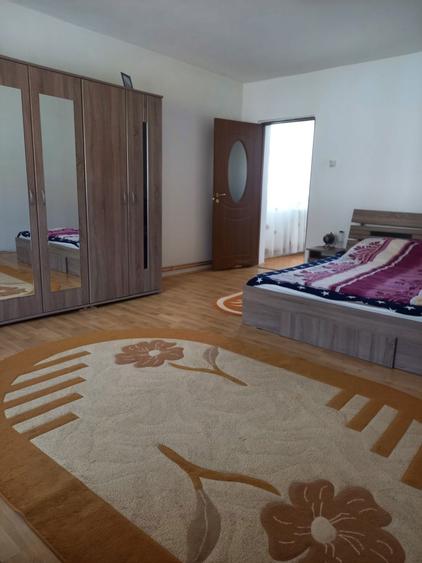 Vand casa Ioanis jud. Bihor, com Finis - 13