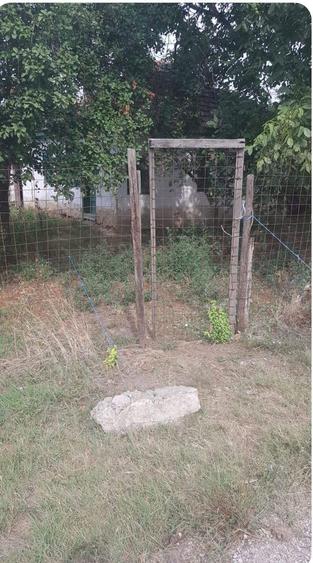 Casa batraneasca Pogoanele - 11