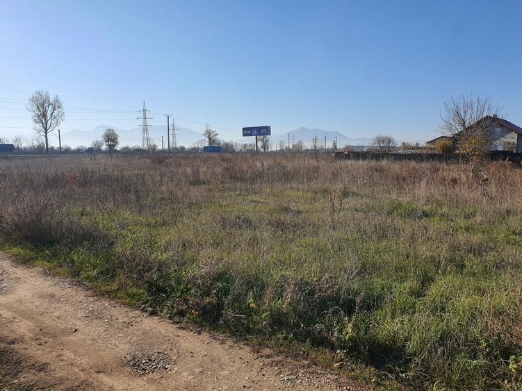 Teren Harman zona de case - 3