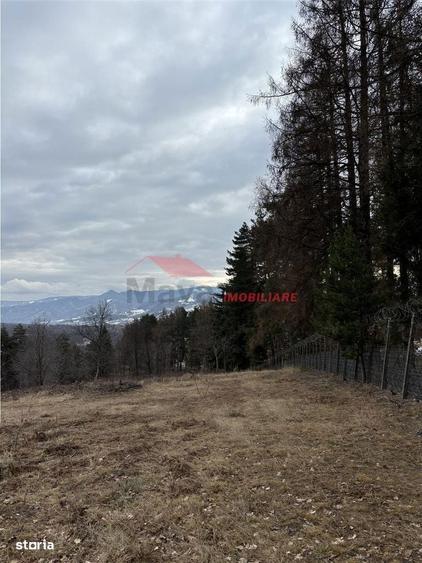 Teren cu 2 izvoare, Prundul Bargaului - 8