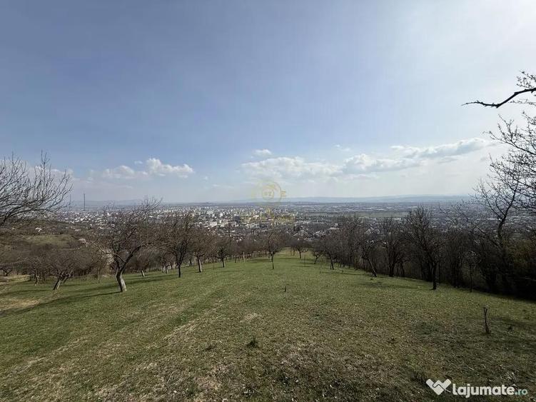 OPORTUNITATE !Teren 1 Hectar Strada Nucului -PRIVELISTE P... - 2