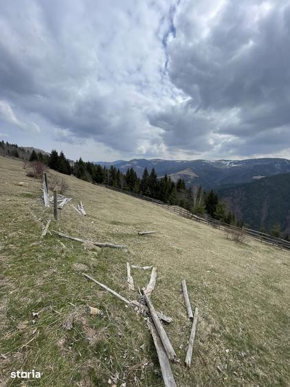 Teren de 3000 mp, în Măguri
