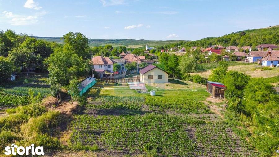 Casa cu teren de 3100 mp de vanzare in comuna Cornesti - 1