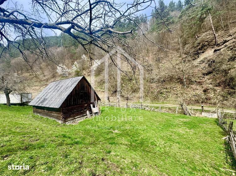 Teren intravilan + faneata, ideal pentru investitie - Rau Sadului - 9