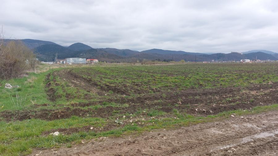 Teren  constructii rezidentiale, Cristian, strada Nisipului - 3