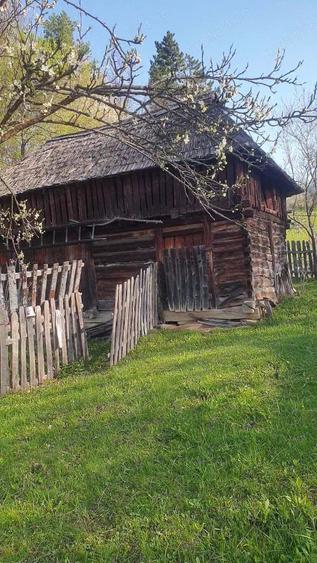 2 camere, 4000 mp,langa lacul Vidraru - 10