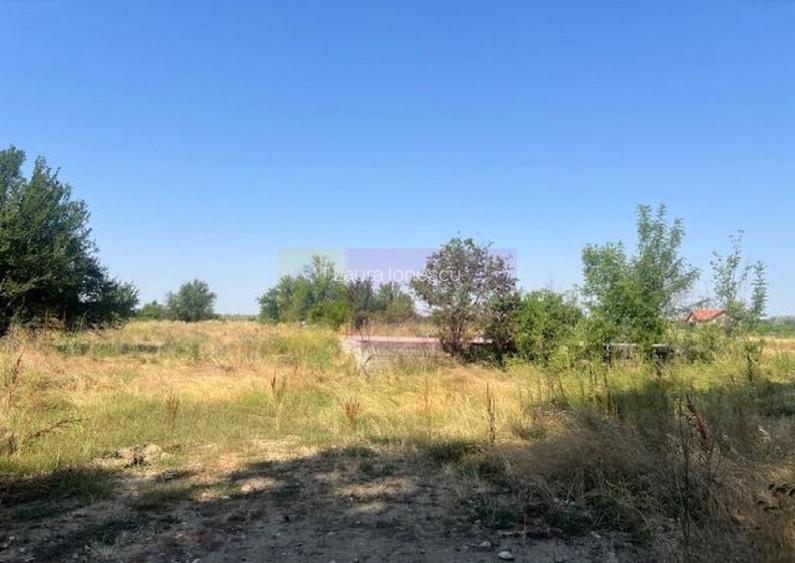 Teren Clinceni- Ordoreanu- langa Dig.