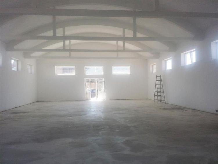 Spatiu: comercial, showroom, productie de inchiriat in Bartolomeu - 21
