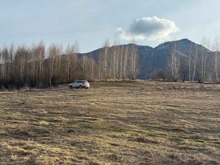 Teren intravilan 500 mp sau 1000 mp în Zarnesti –Tohanita cu parau(izvor) - 1