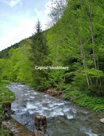 House for sale, 5 Rooms, 180 sqm, Valea Dejani - 7