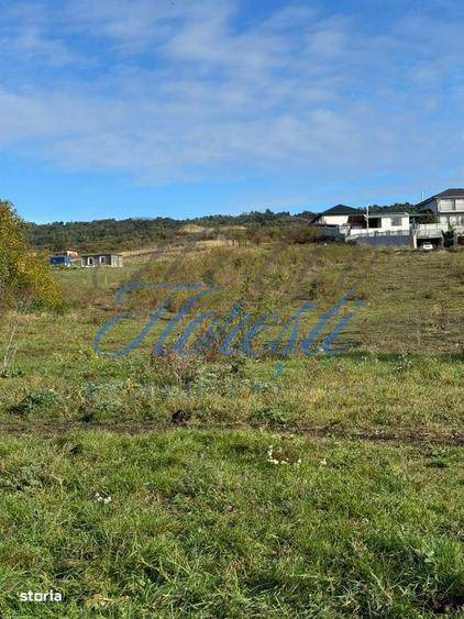 Teren extravilan 1829 mp front la strada 13.28 m zona Fanate - 4