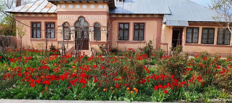 Casa Moldoveni Teleorman - 1