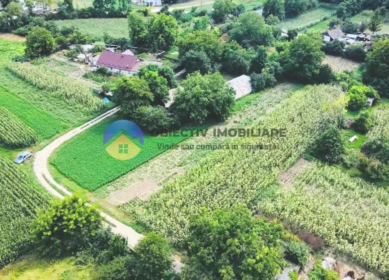 TEREN intravilan GIROV 4133 mp - 1