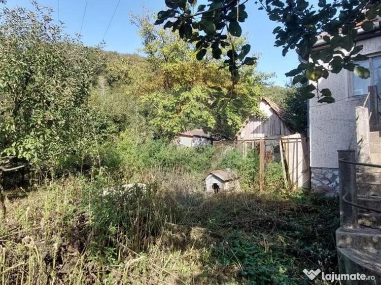 Casa individuala cu teren generos - 2