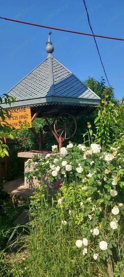 Casa de vanzare 1400mp - 6