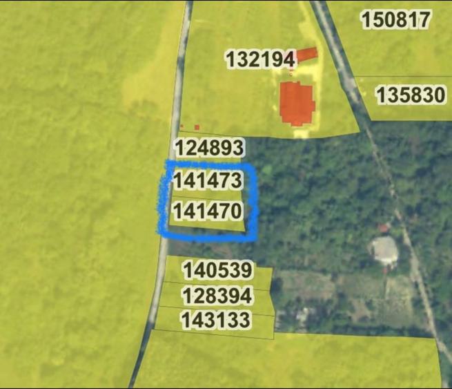 Teren intravilan Gradina Botanica Anastasie Fatu - 2