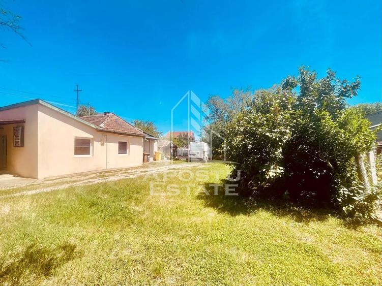 Birou, de 67.050003051758 mp, în Alfa