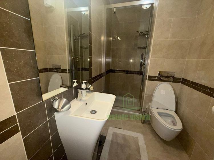 Vila individuala in Domenii- eleganta, spatiu si calitate la 15 min de Arcul de - 13