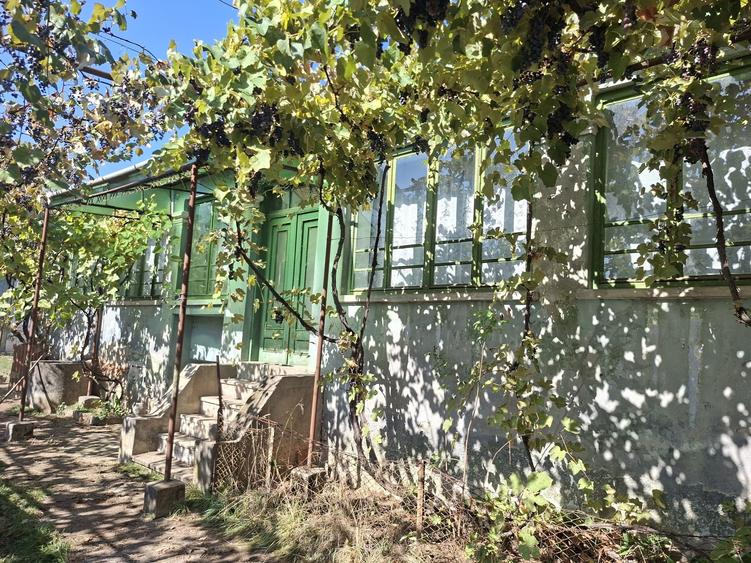 Casă cu 3 camere cu Teren 364 Mp în Central
