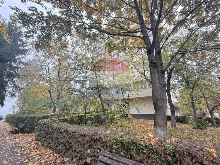 Apartament cu 3 camere decomandat, mobilat în Mănăștur