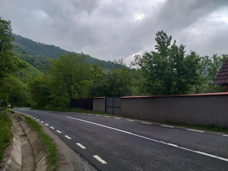 Teren de 7432 mp, în Săsciori